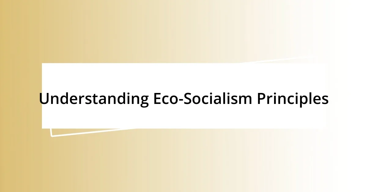 Understanding Eco-Socialism Principles