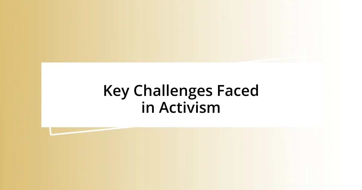 Key Challenges Faced in Activism